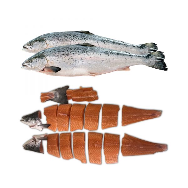 Norwegian Whole Salmon Trout 2