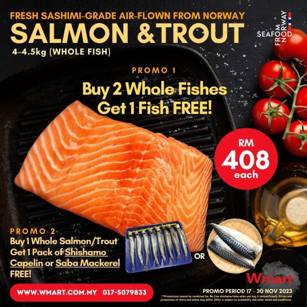 Salmon Trout November