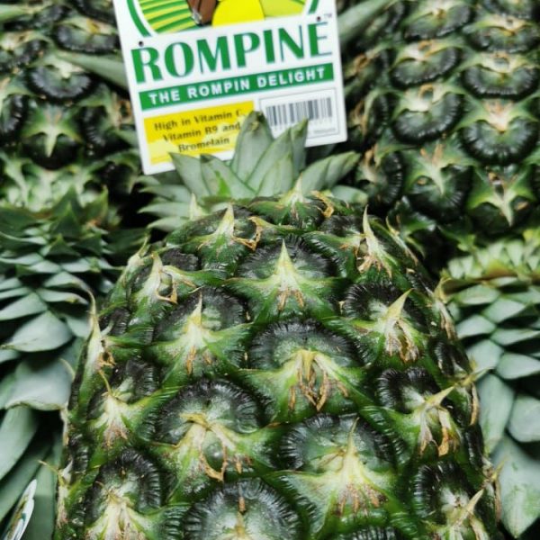 Rompine Pineapple