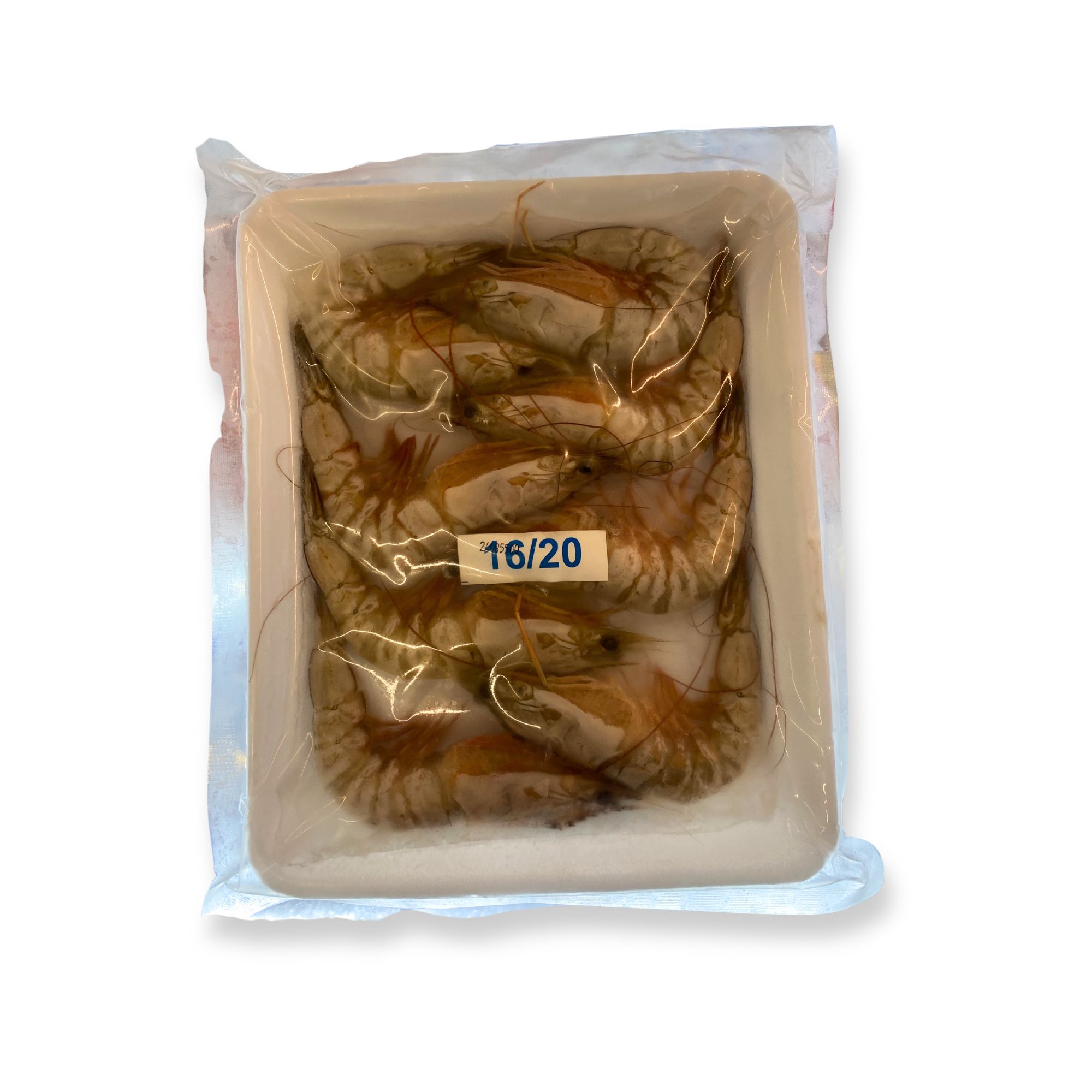 Prawn White Head 16 20 Prawn White Head 16 20
