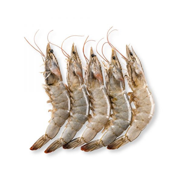 Prawns Soft Shell Head On