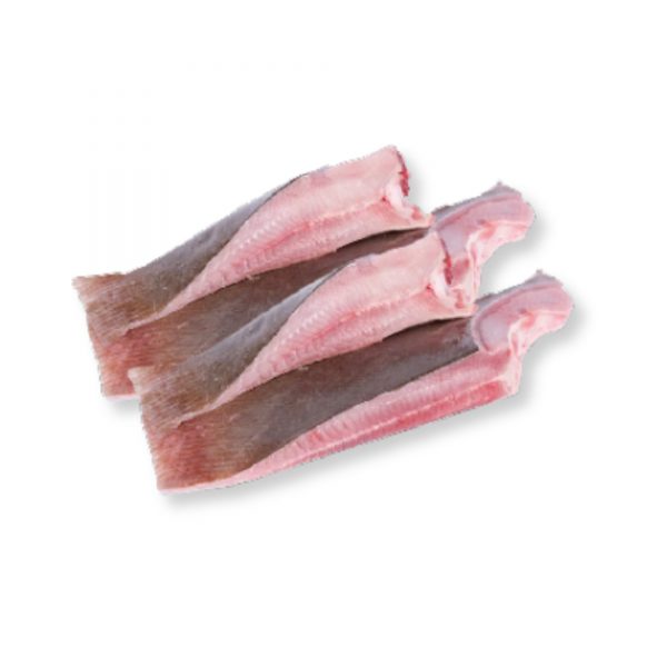 Sting Ray Meat Ikan Pari