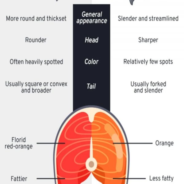 Salmon Trout Difference