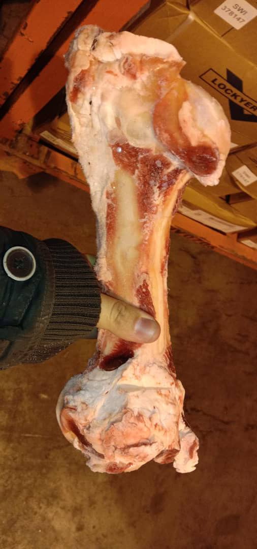 Beef leg bone 1