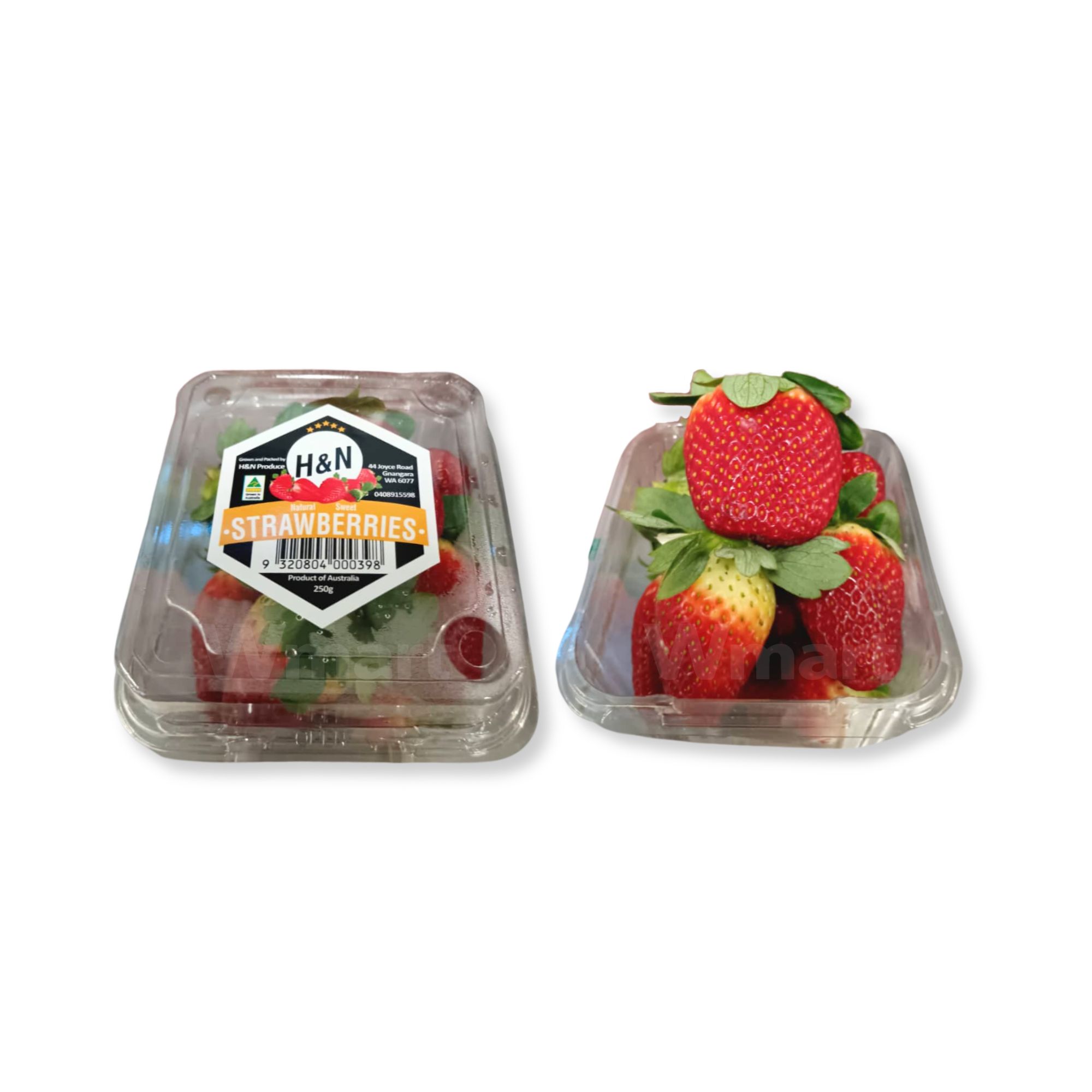 Australian Strawberries Australian Strawberries