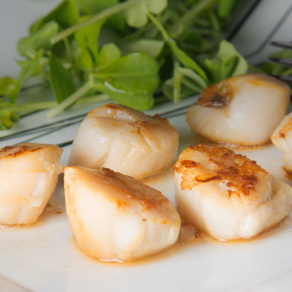 Cut Scallops Cooked