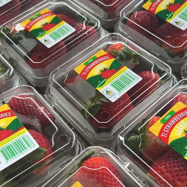 Australian Strawberries September 2023