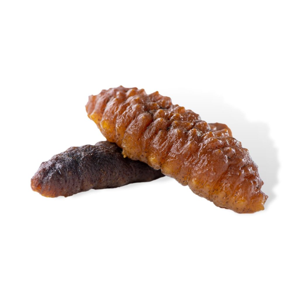 Australian Dried Sea Cucumber (Processed) 1pc 240g+/ Wmart