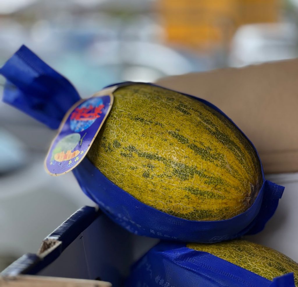 Hami Melon 1pc – Wmart
