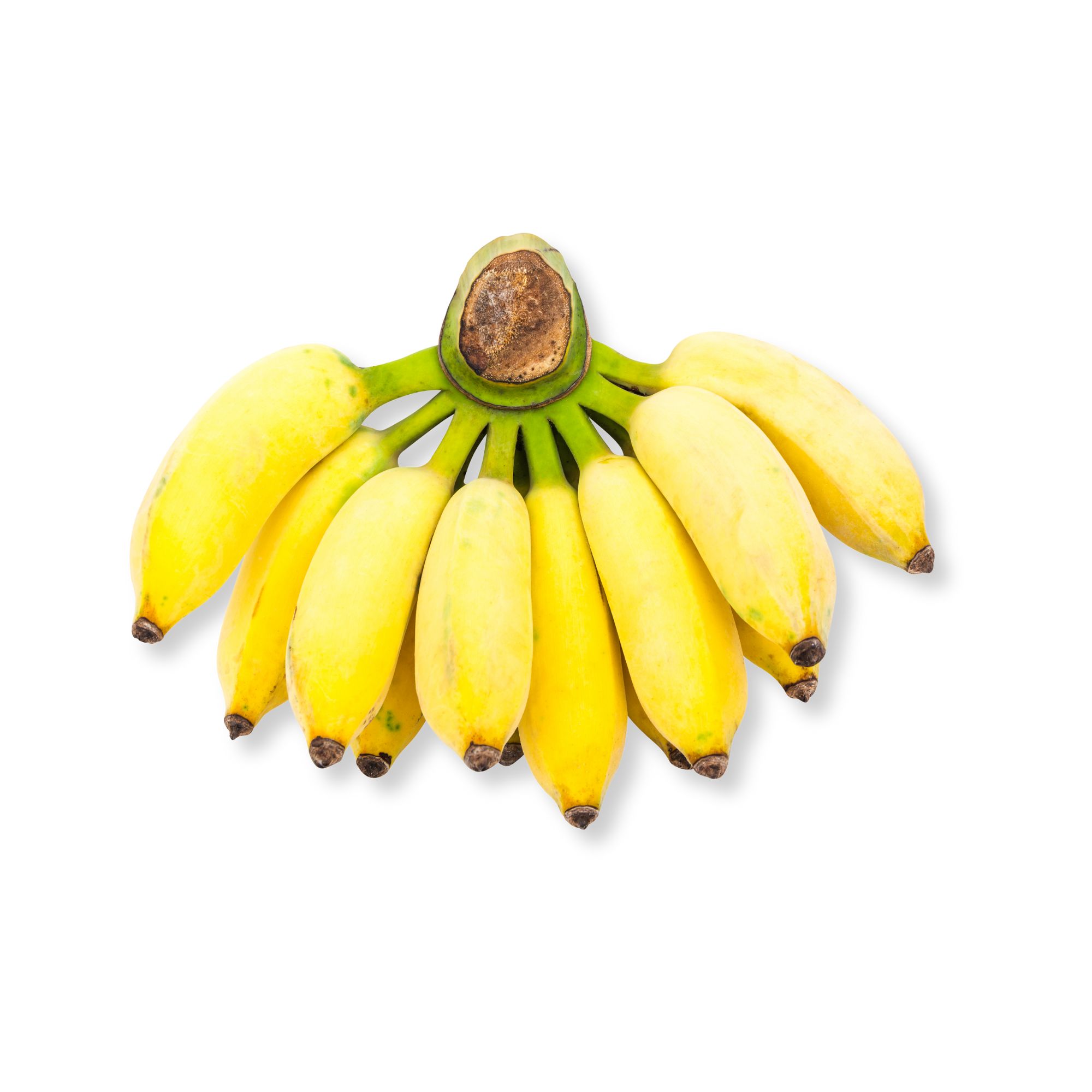 Pisang Emas Bananas Pisang Emas Bananas