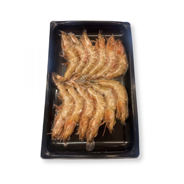 Haida Sea White Prawns