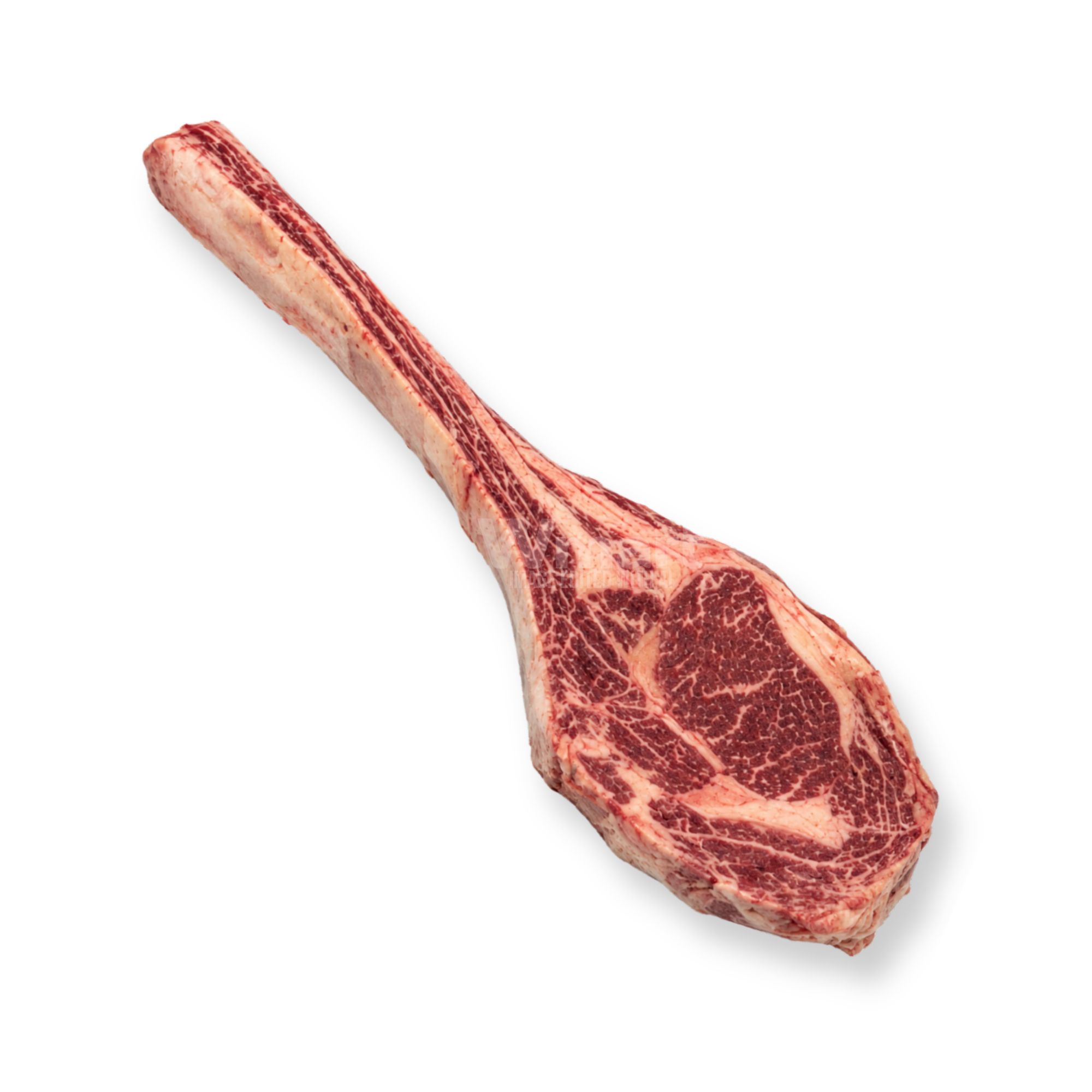 Australian Tajima Wagyu MB6-7 Tomahawk Australian Tajima Wagyu MB6-7 Tomahawk