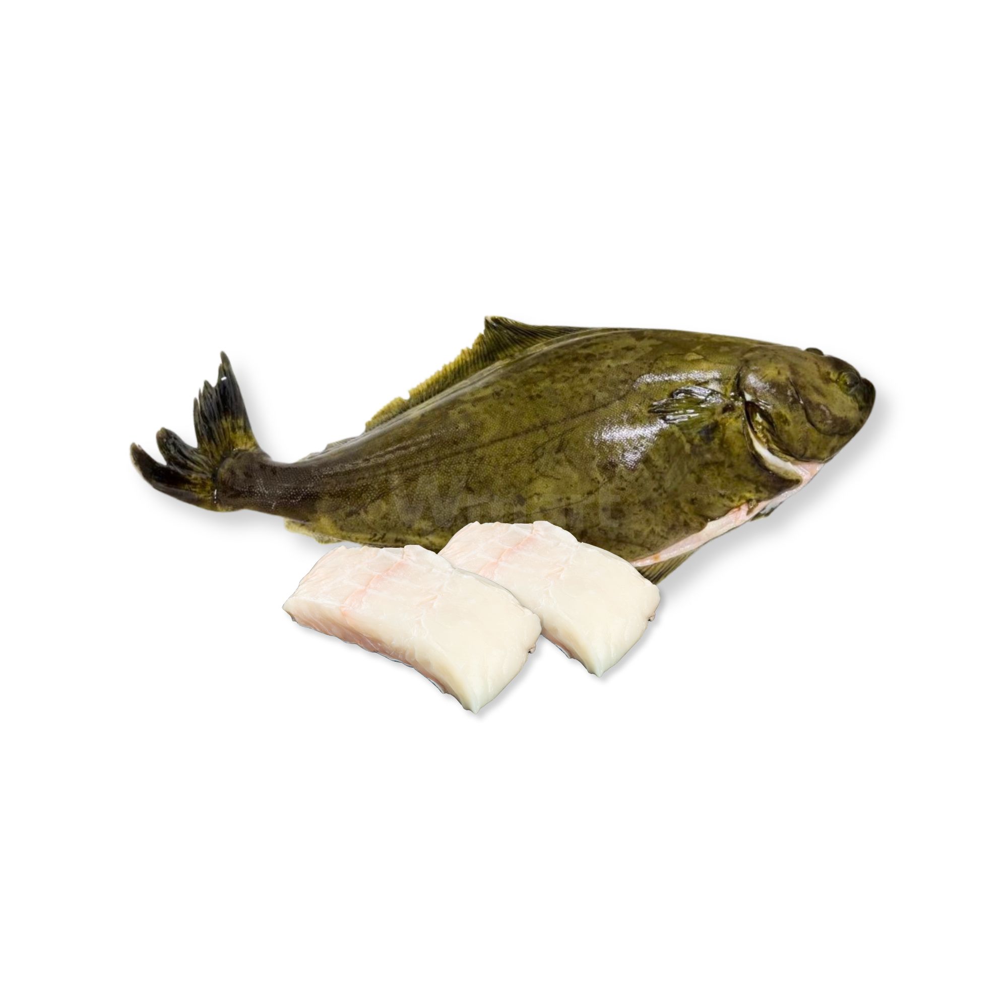 Norwegian Atlantic Halibut Norwegian Atlantic Halibut