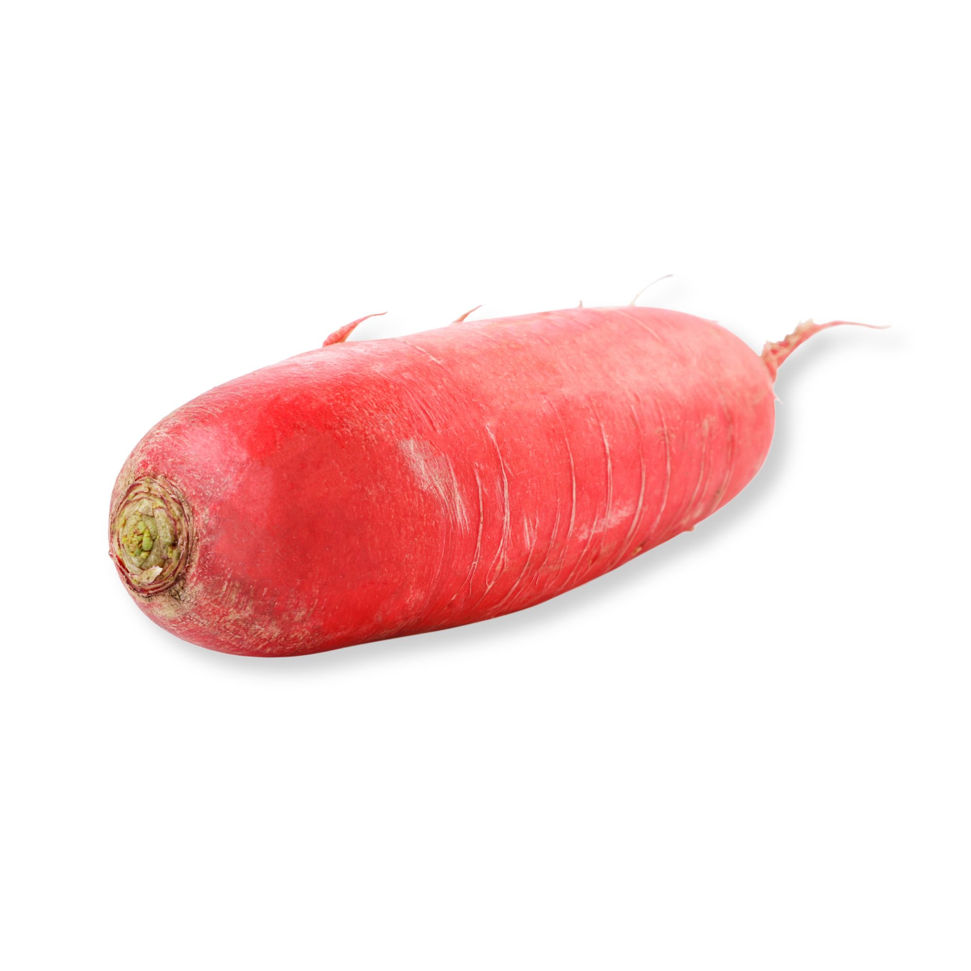 Red Radish Red Radish